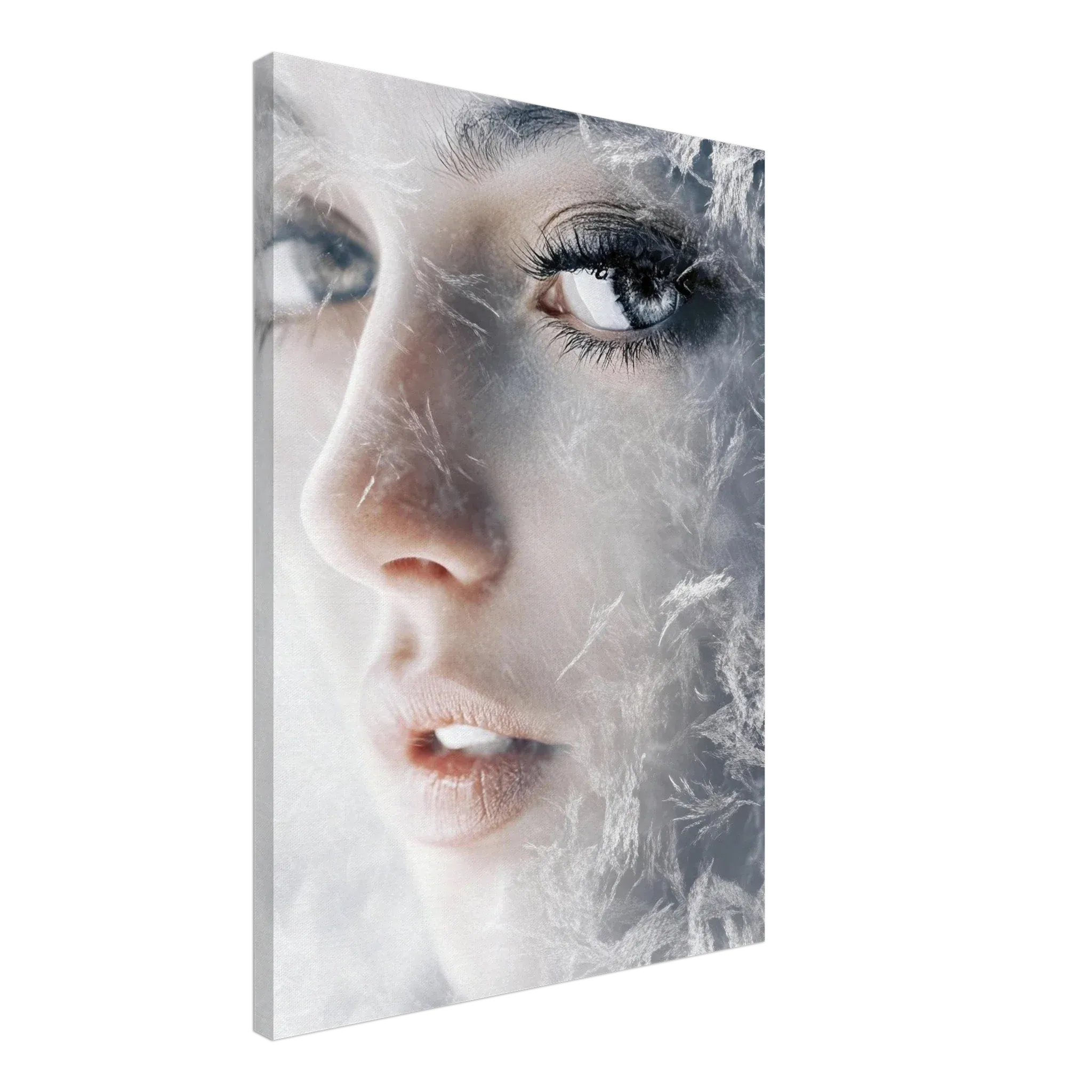 Alivia-Arts FROSTED GAZE – Der Blick aus Eis - Leinwand