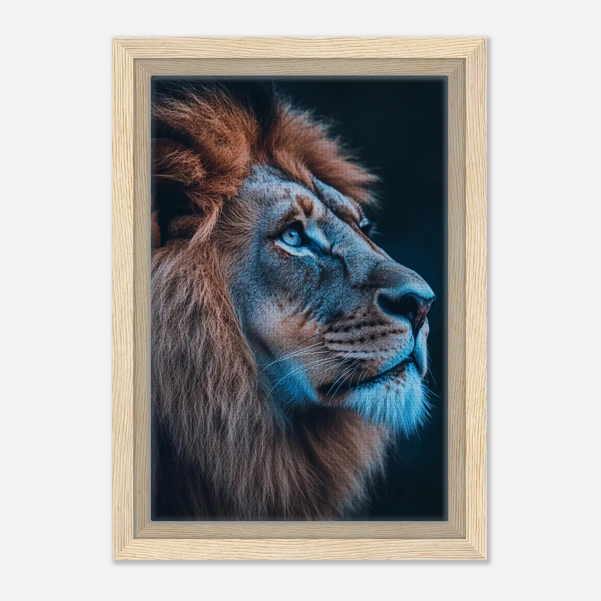 Alivia-Arts MAJESTÄT DES LICHTS – Der Blick eines Löwen - Gerahmte Leinwand