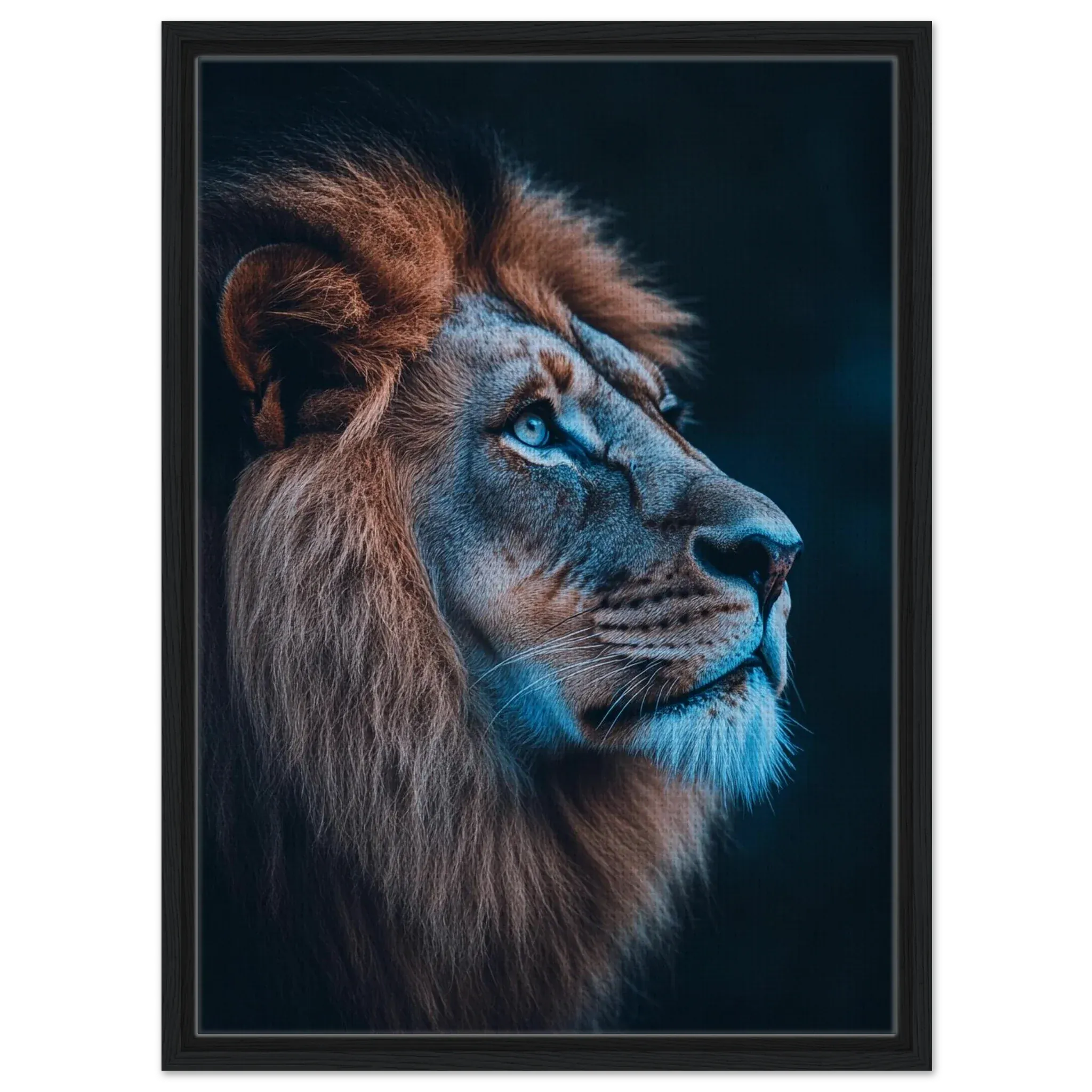 Alivia-Arts MAJESTÄT DES LICHTS – Der Blick eines Löwen - Gerahmte Leinwand