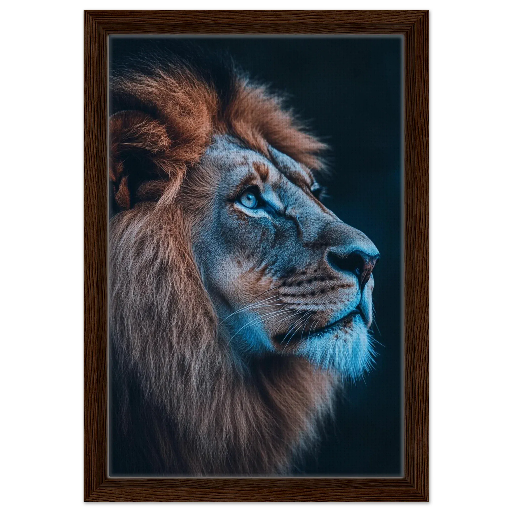 Alivia-Arts MAJESTÄT DES LICHTS – Der Blick eines Löwen - Gerahmte Leinwand