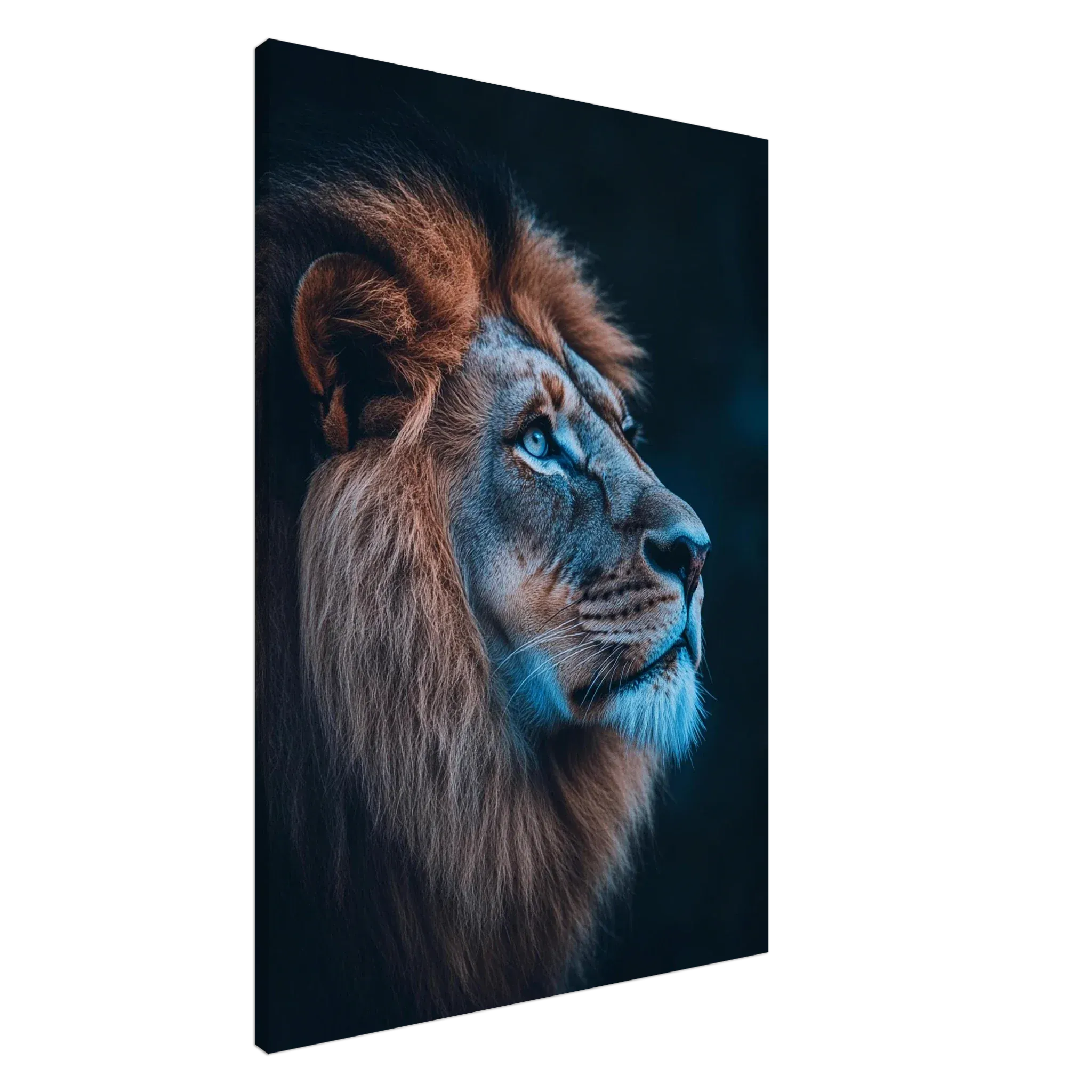 Alivia-Arts MAJESTÄT DES LICHTS – Der Blick eines Löwen - Leinwand
