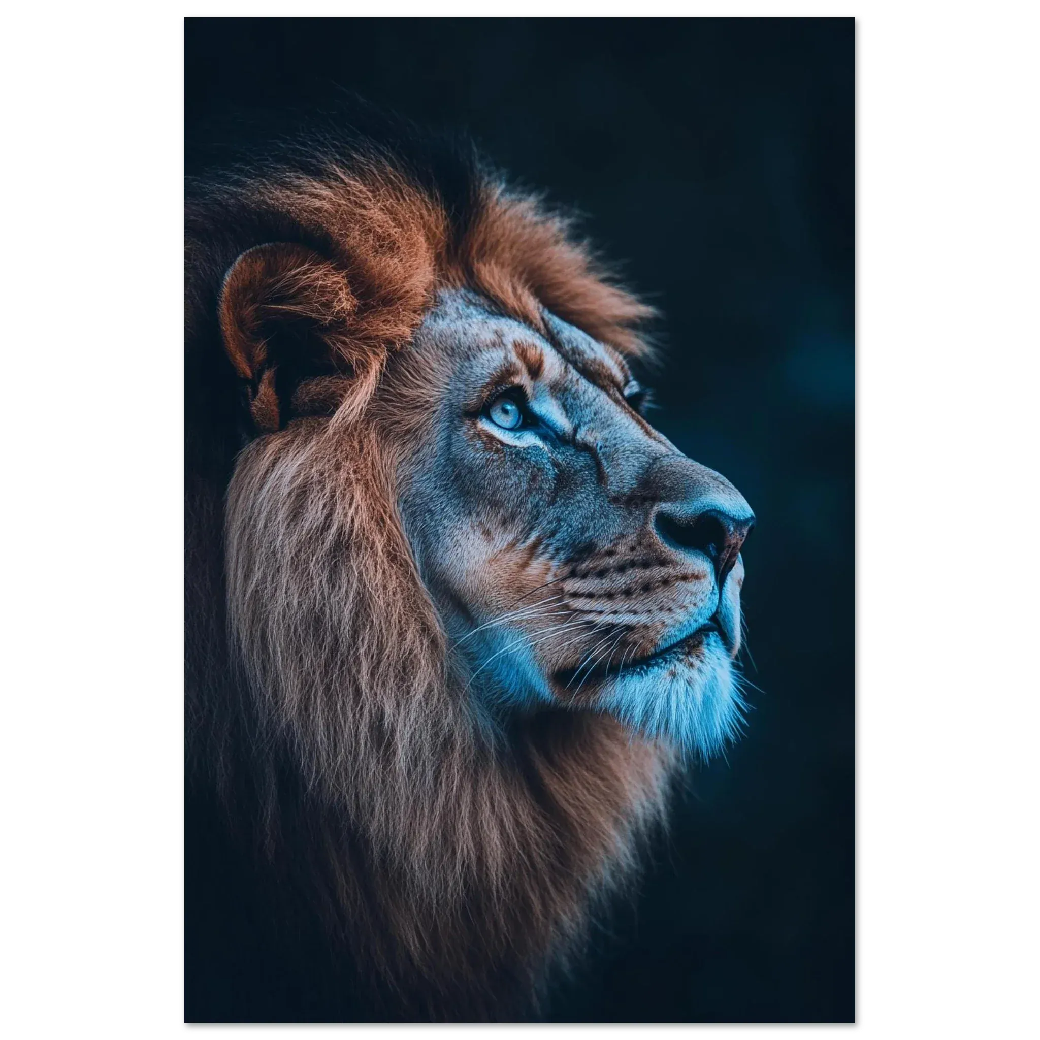 Alivia-Arts MAJESTÄT DES LICHTS – Der Blick eines Löwen - Poster